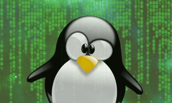 This Linux Kernel Bug Affects Numerous Distros – Patch Now!