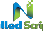The Pros and Cons of Using Nulled Scripts