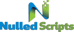 The Pros and Cons of Using Nulled Scripts