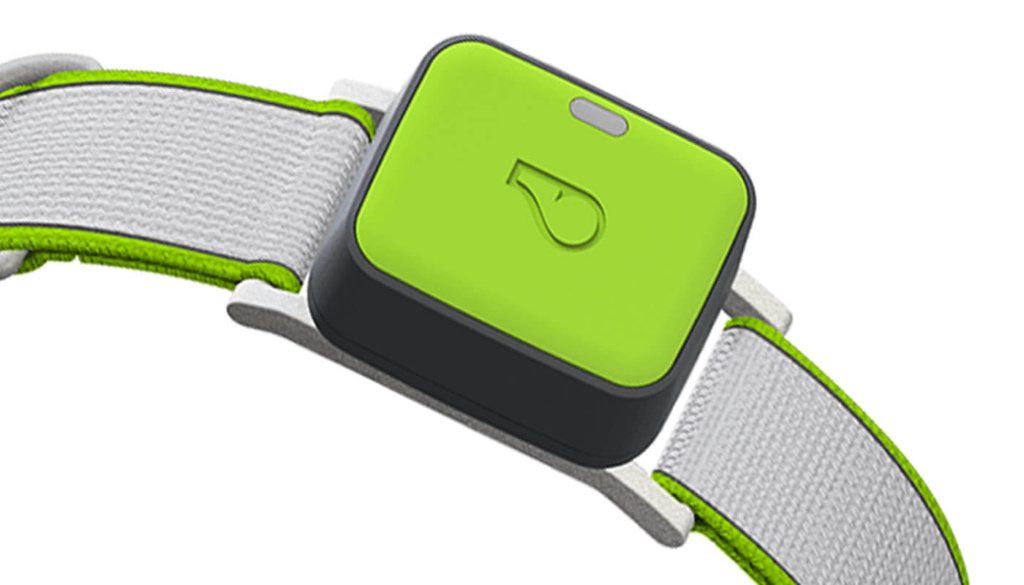 Top Tech Gadgets for Pet Owners: Enhance Your Pet Parenting Experience