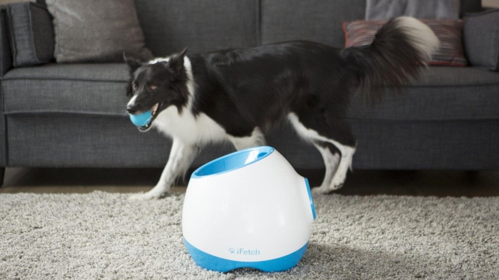 Top Tech Gadgets for Pet Owners: Enhance Your Pet Parenting Experience