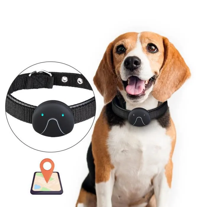 Top Tech Gadgets for Pet Owners: Enhance Your Pet Parenting Experience