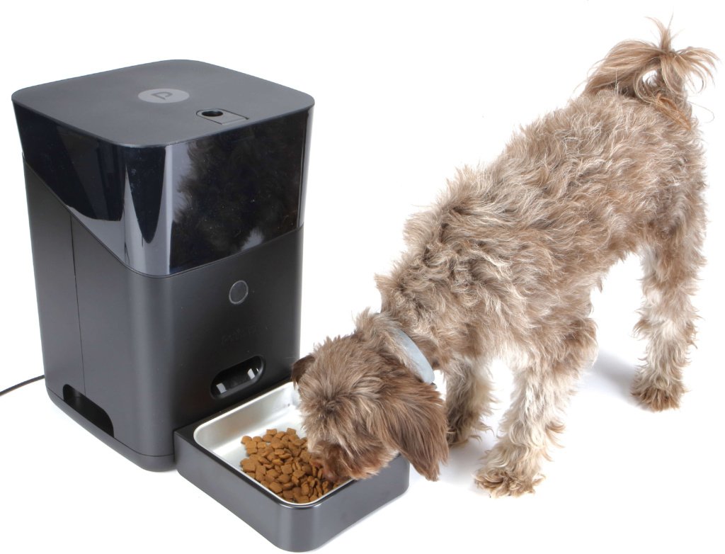 Top Tech Gadgets for Pet Owners: Enhance Your Pet Parenting Experience