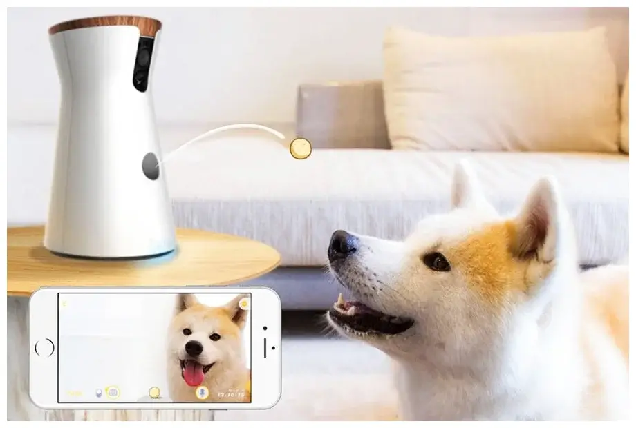Top Tech Gadgets for Pet Owners: Enhance Your Pet Parenting Experience