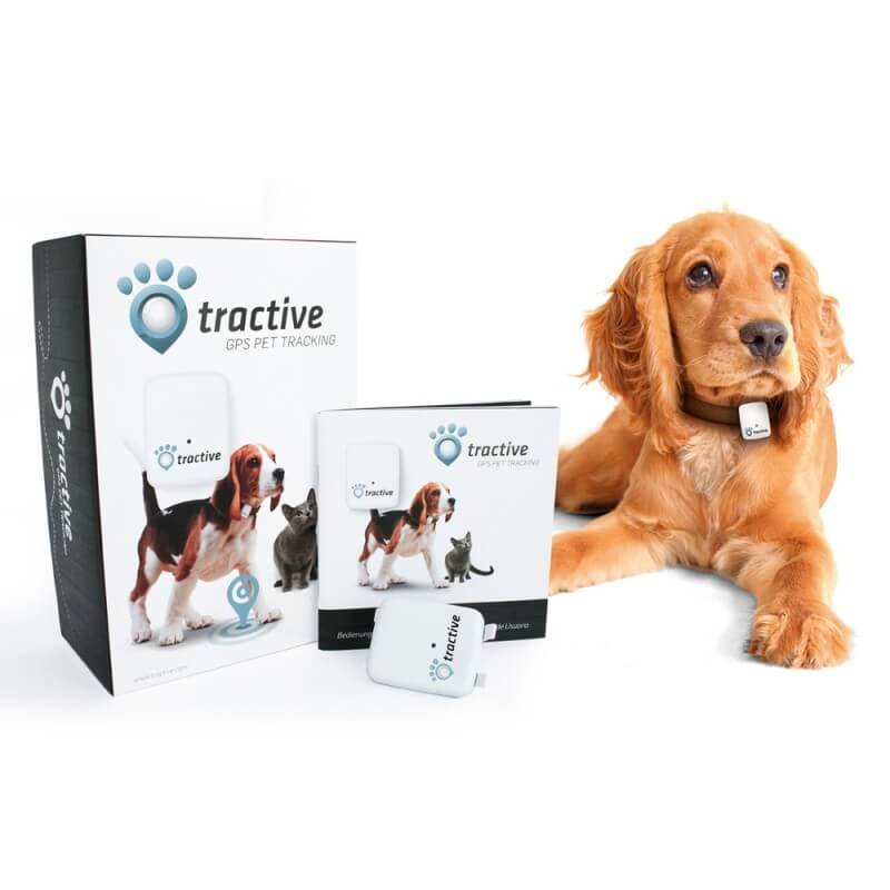 Top Tech Gadgets for Pet Owners: Enhance Your Pet Parenting Experience