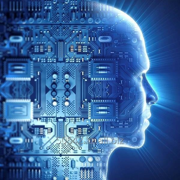 The Dynamic Realm of Real-Time Processing