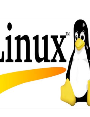 25 Basic Linux Commands For Beginners